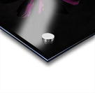 Abstract Single Glowing Cone Flower Acrylic print