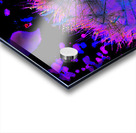 Abstract Neon Dandelion Seeds Close Up Acrylic print