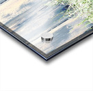 Serene Summer Daises  Acrylic print