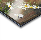  Impressionistic Summer Trailing Daises Acrylic print