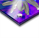  Abstract Colourful Daisy Flower  Acrylic print