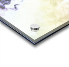 Pastel Abstractions Acrylic print