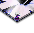 Abstract Daisy Flower in White Acrylic print