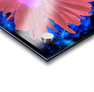 Abstract Red Daisy Acrylic print