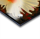 Abstract Orange Daisy with Abstract Background Acrylic print