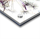 Angelica in the Morning  Acrylic print