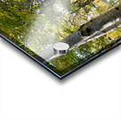 Autumns Sunlight in the Scottish Highlands Acrylic print