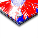 Red White and Blue Daisy on a Navy Abstract Background Acrylic print