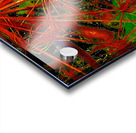 Abstract Angelica Acrylic print