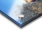 Frosty Nature Path Through the Scottish Highlands Acrylic print