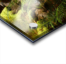 Summer Forest Ferns in the Scottish Highlands  Acrylic print