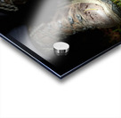 Scenes from the Trail- Muddy Boots Acrylic print