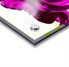 Abstract Pink and Purple Rose Acrylic print