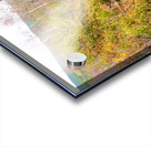 Spring Nature Trail Through The Scottish Highlands                                                                                                                    Acrylic print