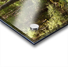 Scottish Highlands Summer Ferns in the Forest Acrylic print