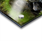 Scottish Highlands Summer Nature Walk Acrylic print