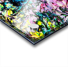 Colourful Old Bodach of Albany Acrylic print