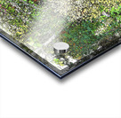 In The Garden                                                                                                                      Acrylic print