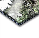 Scottish Highlands Serene  Birch Woodland Trail                                                                                                Acrylic print