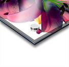 Rich Summer Lily Flowers Acrylic print