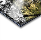 Loch Vaa Autumnal View                                                                                                                      Acrylic print