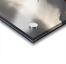  Highland Cow at the Lairig Ghru in the Scottish Highlands Acrylic print