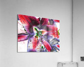 Abstract Colourful Lilies Acrylic Print