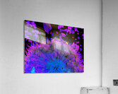 Abstract Neon Dandelion Seeds Close Up Acrylic Print