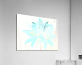 Abstract  Distressed Trio of Lime Lilies Acrylic Print