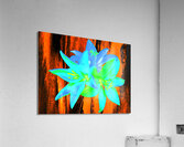 Abstract Vibrant Neon  Trio of Lilies Acrylic Print