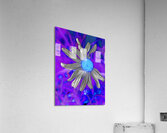  Abstract Colourful Daisy Flower  Acrylic Print