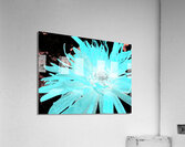 Abstract Turquoise Daisy Flower Acrylic Print
