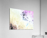 Pastel Abstractions Acrylic Print