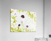  Abstract White Daises on a Green Background Acrylic Print