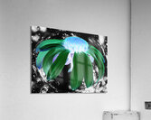  Abstract Green Cone Flower Acrylic Print