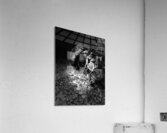 Scenes from the Trail- Disintegration Acrylic Print