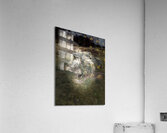 Scenes from the Trail- Boulder Seat Acrylic Print