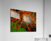 Abstract Angelica Acrylic Print