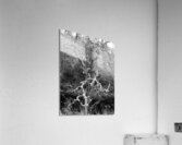 Black and White Winter in the Scottish Highlands Acrylic Print