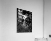 Scenes from the Trail- Resting Too Acrylic Print