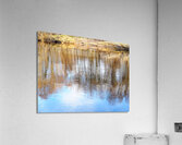 River Speys Spring Reflections                                                                                                                  Acrylic Print