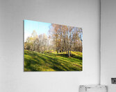 Spring Serenity in the Scottish Highlands                                                                                                                      Acrylic Print