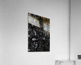 Abstract Patterned Florals Acrylic Print