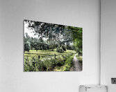 Summer Path in the Scottish Highlands                                                                                                                      Acrylic Print