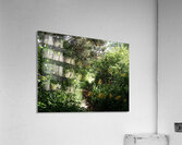 Scottish Highlands Sun Kissed Nature Trail                                                                                                                      Acrylic Print