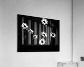  Monochrome Night Blooms                                                                                                                     Acrylic Print