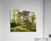Fairy Tale Lands of the Scottish Highlands. Acrylic Print