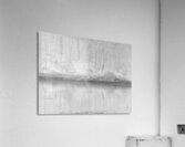  Birch Forest Reflections in High Glossy Monochrome Acrylic Print