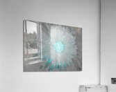 Turquoise Silver Daisy on Light Abstract Background Acrylic Print