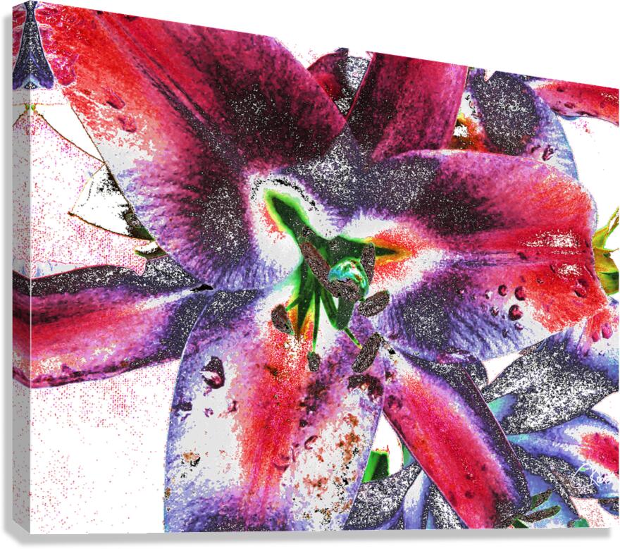 Abstract Colourful Lilies Canvas Print